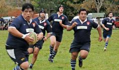 Foto de la galería: Capri 88-Cataratas 8