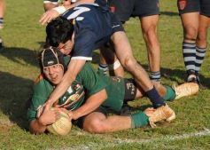 Foto de la galería: Capri 33-Lomas 6