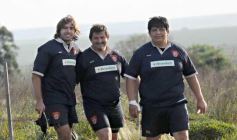 Foto de la galería: Capri 33-Lomas 6