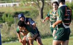 Foto de la galería: Capri 33-Lomas 6