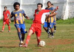 Foto de la galería: Brown 1-Mitre 2