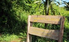 Foto de la galería: Los Saltos del Moconá