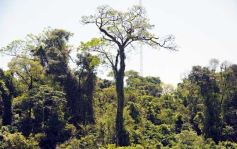 Foto de la galería: Los Saltos del Moconá