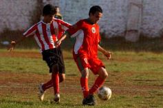 Foto de la galería: Brown 1-Candelaria 1