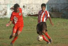 Foto de la galería: Brown 1-Candelaria 1