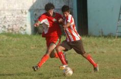 Foto de la galería: Brown 1-Candelaria 1