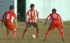 Foto de la galería: Brown 1-Candelaria 1