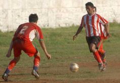 Foto de la galería: Brown 1-Candelaria 1