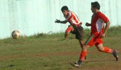 Foto de la galería: Brown 1-Candelaria 1