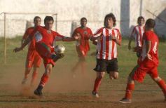 Foto de la galería: Brown 1-Candelaria 1