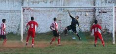 Foto de la galería: Brown 1-Candelaria 1