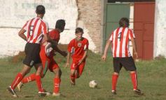 Foto de la galería: Brown 1-Candelaria 1