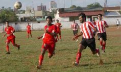 Foto de la galería: Brown 1-Candelaria 1