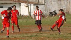 Foto de la galería: Brown 1-Candelaria 1