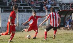Foto de la galería: Brown 1-Candelaria 1