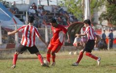 Foto de la galería: Brown 1-Candelaria 1