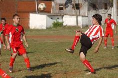 Foto de la galería: Brown 1-Candelaria 1