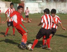 Foto de la galería: Brown 1-Candelaria 1