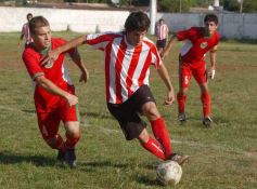 Foto de la galería: Brown 1-Candelaria 1