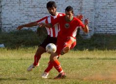 Foto de la galería: Brown 1-Candelaria 1