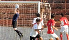 Foto de la galería: Guaraní 2 - Brown 1