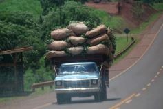 Foto de la galería: Recorridas por Saltos y Camping