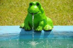 Foto de la galería: Recorridas por Saltos y Camping