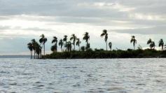 Foto de la galería: Busqueda a los deportistas