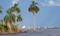 Foto de la galería: Busqueda a los deportistas