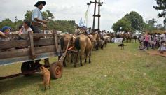 Foto de la galería: Devoción y Fiesta por La Santa