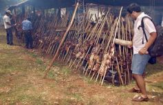 Foto de la galería: Devoción y Fiesta por La Santa