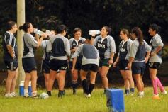 Foto de la galería: Tarea exigente, en La Aventura de Posadas