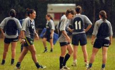 Foto de la galería: Tarea exigente, en La Aventura de Posadas