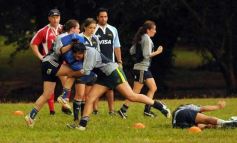 Foto de la galería: Tarea exigente, en La Aventura de Posadas