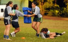 Foto de la galería: Tarea exigente, en La Aventura de Posadas