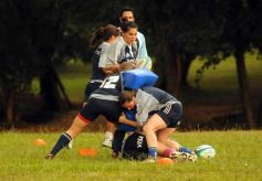 Foto de la galería: Tarea exigente, en La Aventura de Posadas