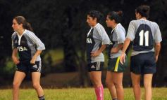 Foto de la galería: Tarea exigente, en La Aventura de Posadas