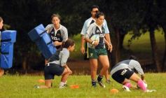 Foto de la galería: Tarea exigente, en La Aventura de Posadas