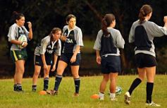 Foto de la galería: Tarea exigente, en La Aventura de Posadas