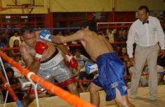 Foto de la galería: La Cobra Andino-Claudio Fernandez