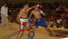 Foto de la galería: La Cobra Andino-Claudio Fernandez