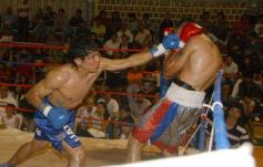 Foto de la galería: La Cobra Andino-Claudio Fernandez