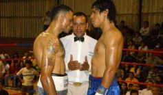 Foto de la galería: La Cobra Andino-Claudio Fernandez