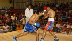 Foto de la galería: La Cobra Andino-Claudio Fernandez