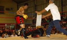 Foto de la galería: La Cobra Andino-Claudio Fernandez