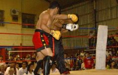 Foto de la galería: La Cobra Andino-Claudio Fernandez