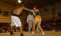 Foto de la galería: La Cobra Andino-Claudio Fernandez