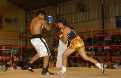 Foto de la galería: La Cobra Andino-Claudio Fernandez