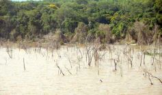 Foto de la galería: Busqueda por aire y tierra