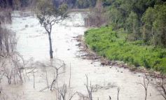 Foto de la galería: Busqueda por aire y tierra
